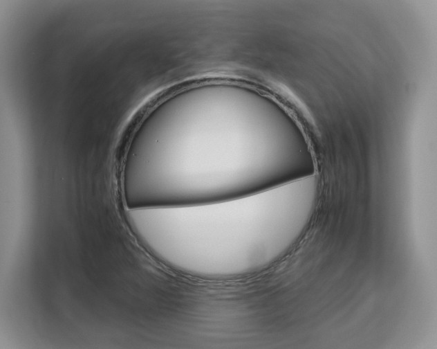 X0000113091360200908280959