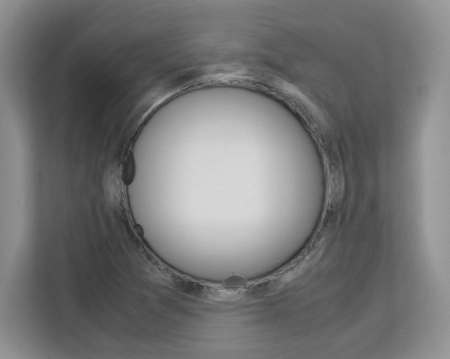 X0000113091361200908280959
