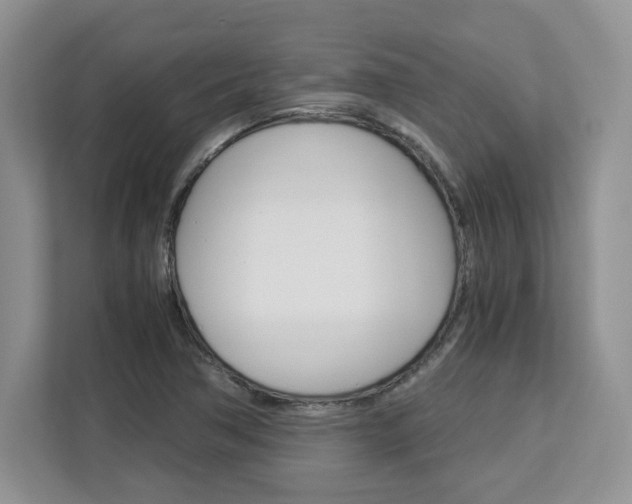 X0000113091362200908280959