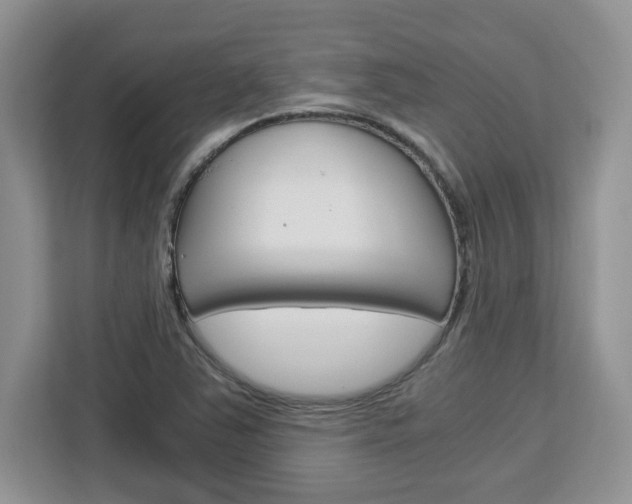 X0000113091363200908280959