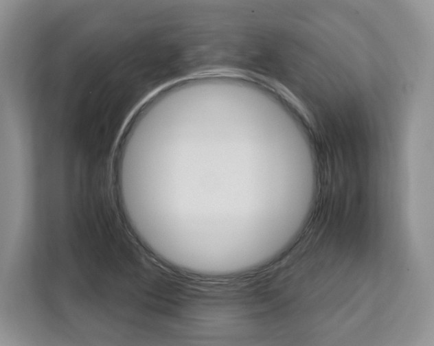 X0000113091364200908280959