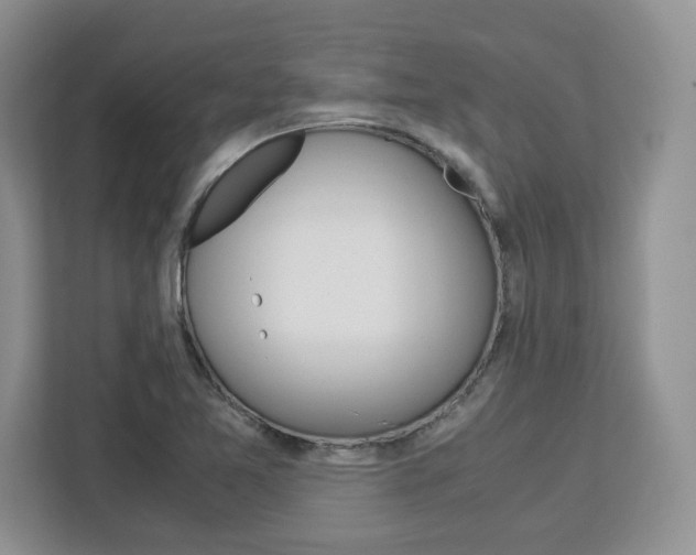 X0000113091365200908280959