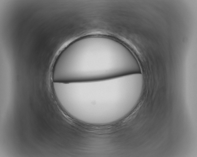 X0000113091367200908280959