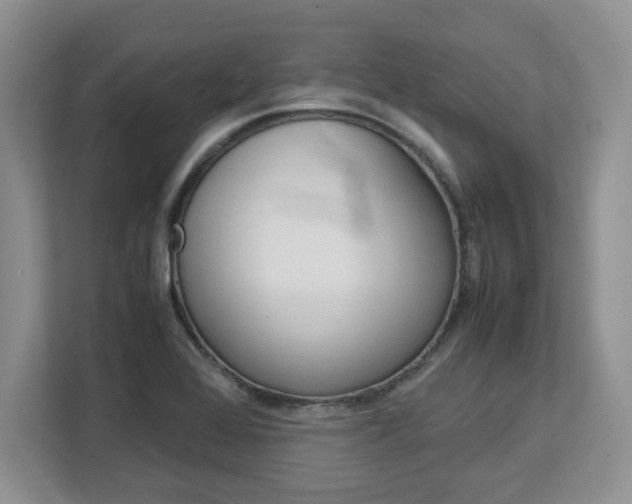 X0000113091368200908280959