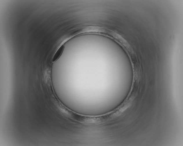 X0000113091369200908280959