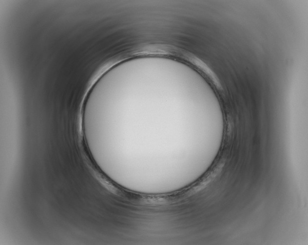 X0000113091370200908280959