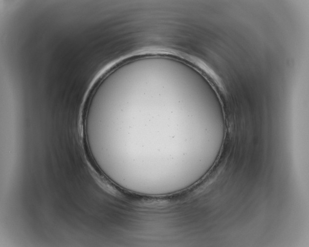 X0000113091372200908280959