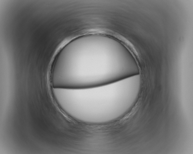 X0000113091373200908280959