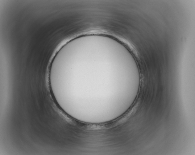X0000113091374200908280959