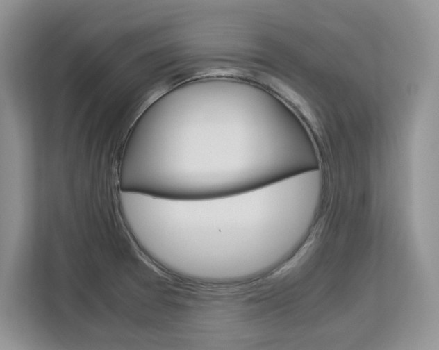 X0000113091377200908280959