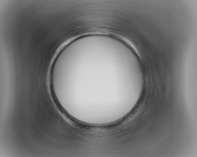 X0000113091379200908280958
