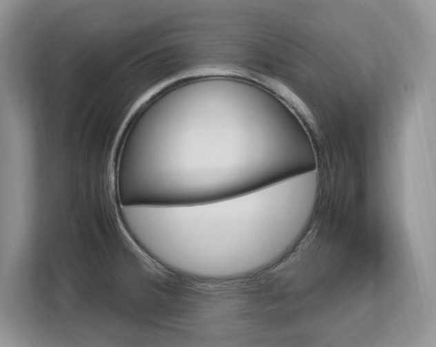 X0000113091380200908280958