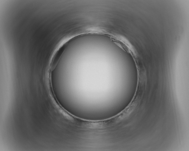 X0000113091381200908280958