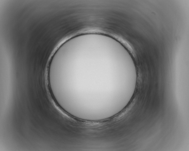 X0000113091382200908280958