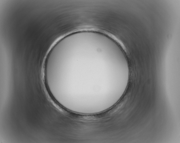 X0000113091383200908280958