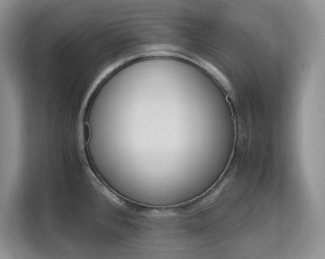 X0000113091384200908280958