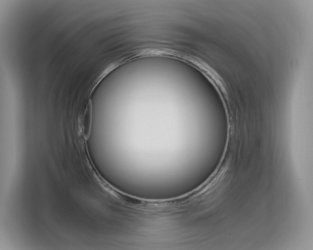 X0000113091385200908280958
