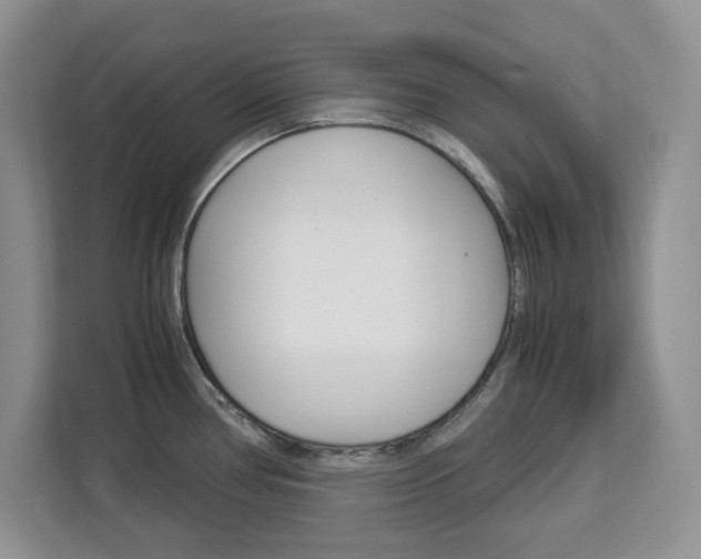 X0000113091386200908280958