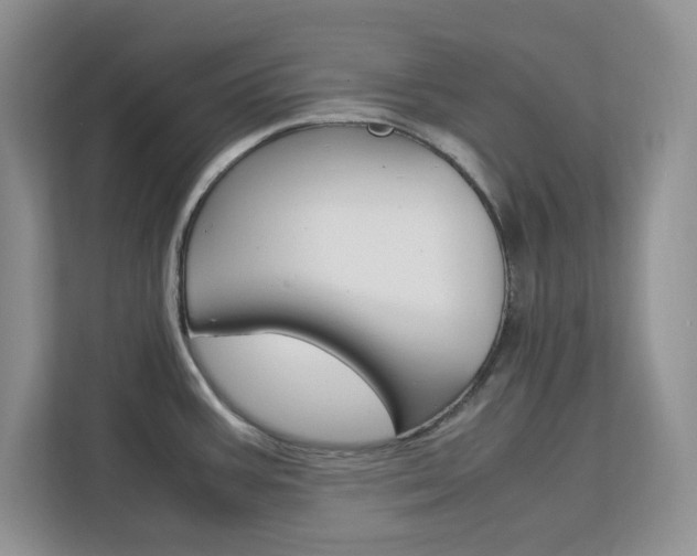 X0000113091387200908280958