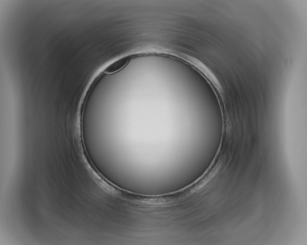X0000113091388200908280958