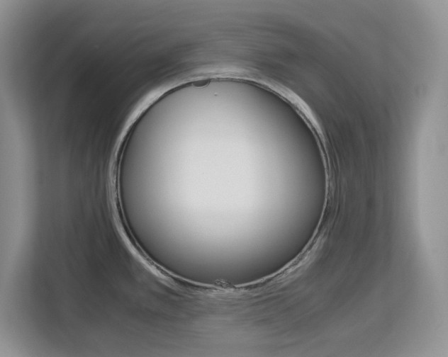 X0000113091389200908280958