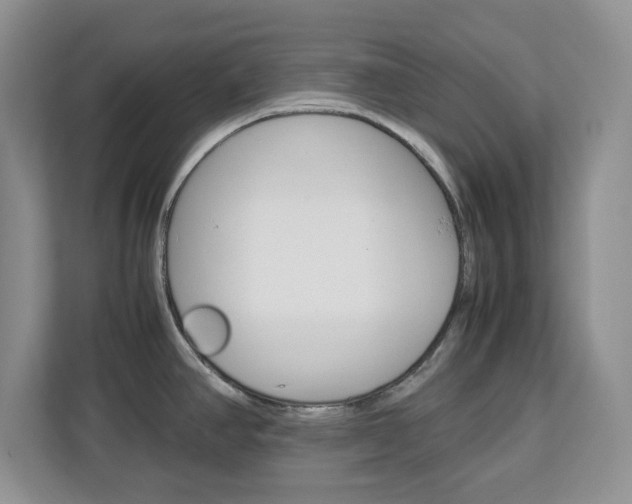 X0000113091390200908280958