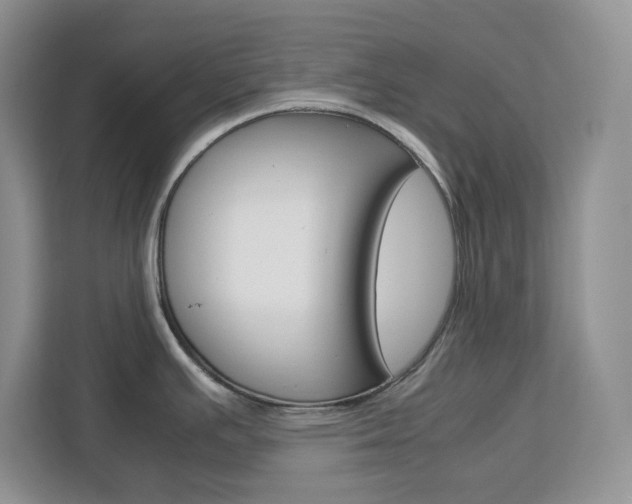X0000113091391200908280958