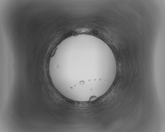 X0000113091393200908280958
