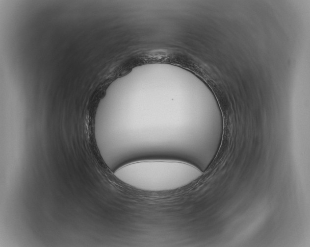 X0000113091394200908280958