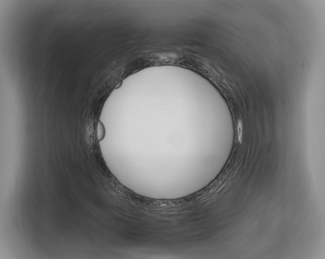 X0000113091395200908280958