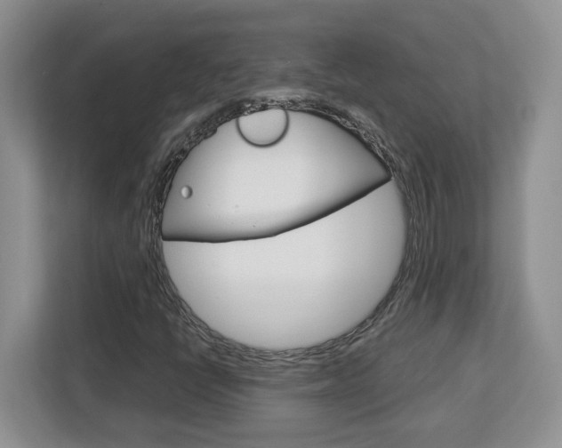 X0000113091398200908280958