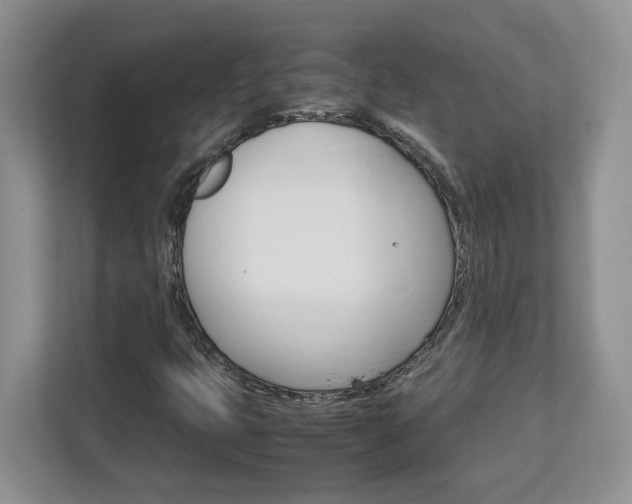 X0000113091399200908280958