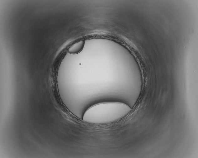 X0000113091400200908280958