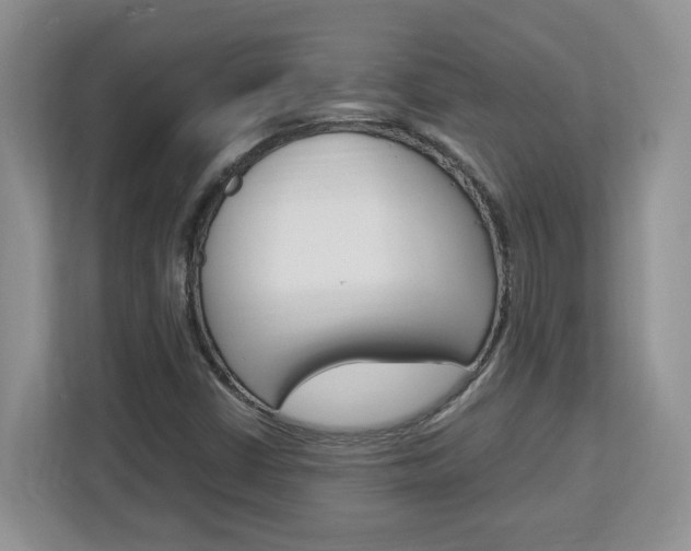 X0000113091402200908280958