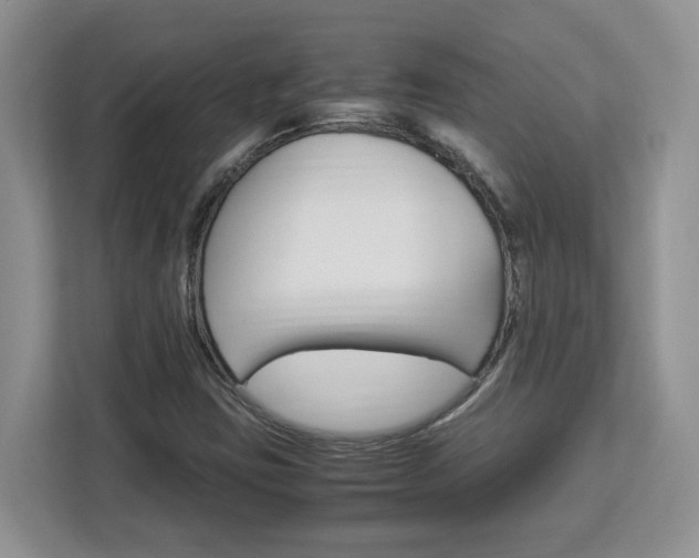 X0000113091403200908280958