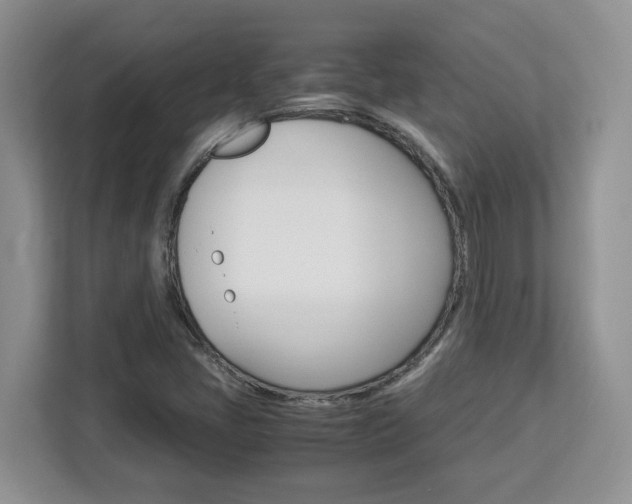 X0000113091405200908280958