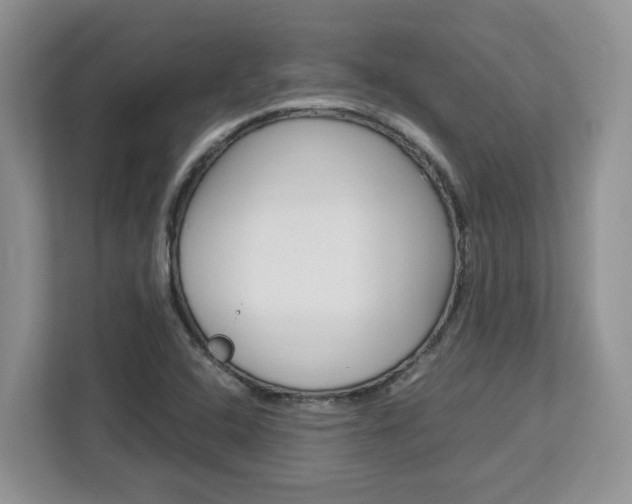 X0000113091408200908280958