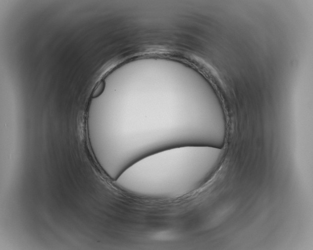 X0000113091409200908280958