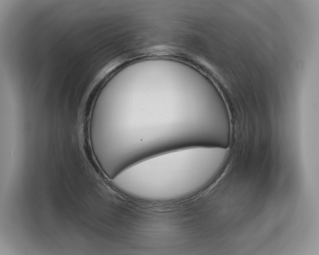 X0000113091410200908280958
