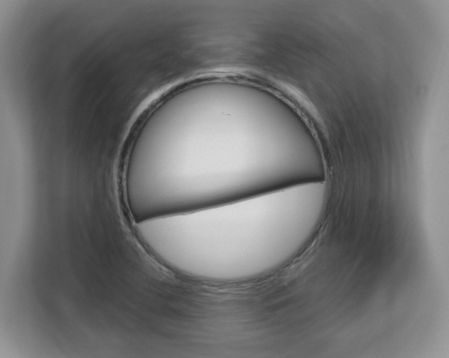 X0000113091412200908280958