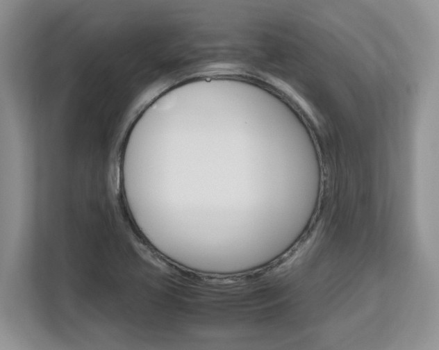 X0000113091413200908280958