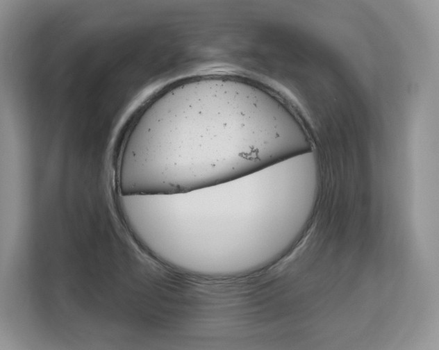 X0000113091414200908280958