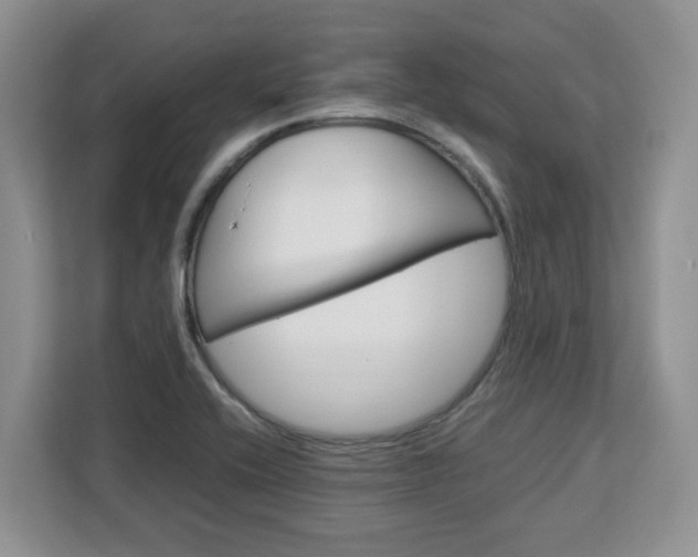X0000113091416200908280958