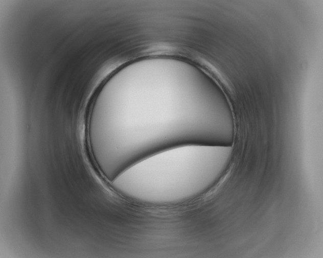X0000113091418200908280958
