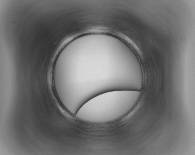 X0000113091421200908280958
