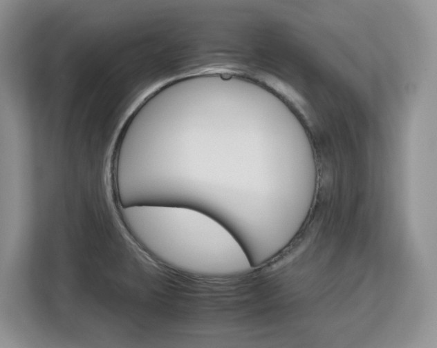 X0000113091423200908280958