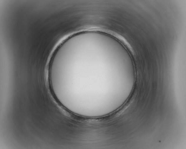 X0000113091424200908280958