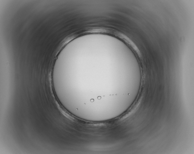 X0000113091425200908280958