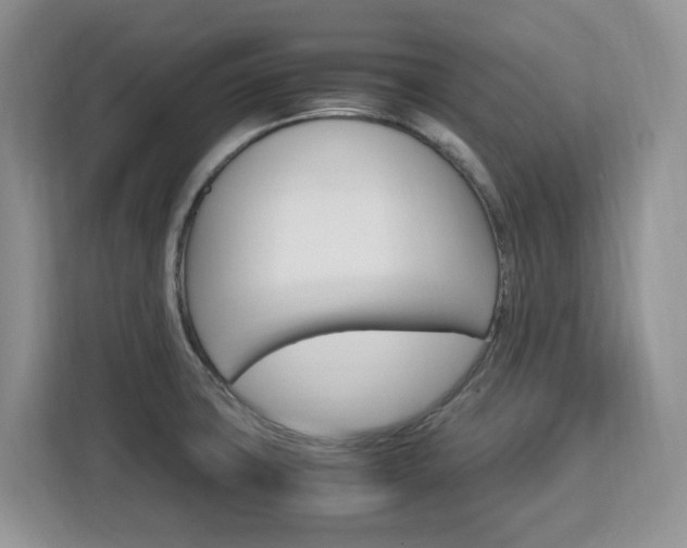 X0000113091427200908280958