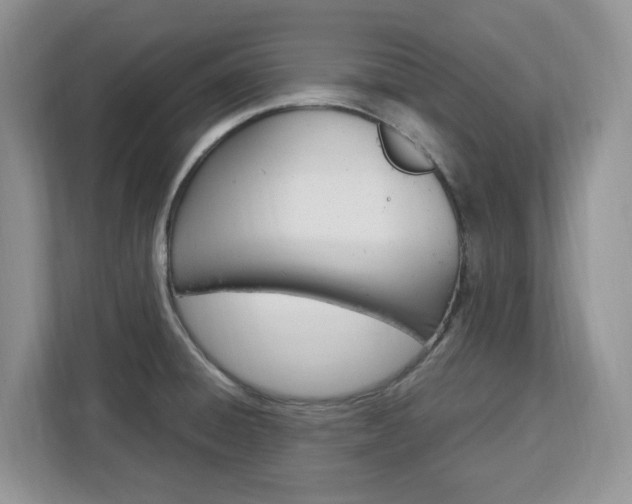 X0000113091428200908280958